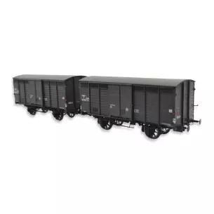 Coffret 2 wagons