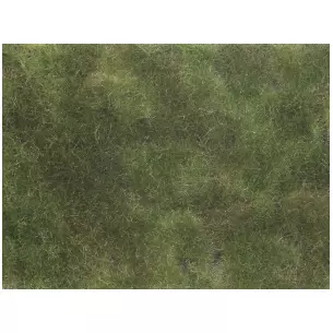 Feuille/tapis 120 x 180 mm Vert moyen NOCH 07250 - HO 1/87 - Détaillé
