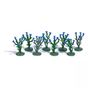 Fleurs de champs