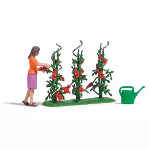 Feet of tomatoes