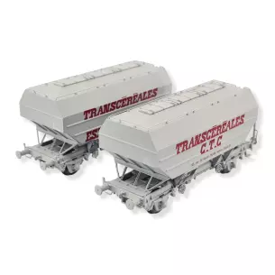Set 2 Wagons céréaliers CTC & ESMERY-CARON gris - REE MODELES WB729 SNCF HO 1/87