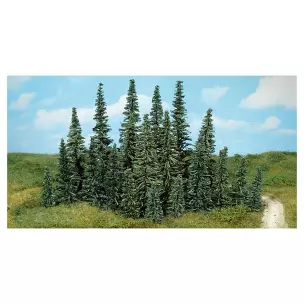 Lot de 100 sapins 5-7cm