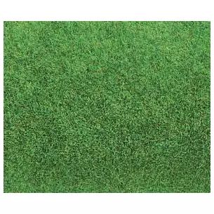 Tapis vert clair gazon
