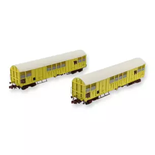 Coffret wagons couverts Trains160 16017