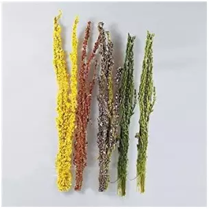 Lot of natural bushes with burgundy flowers