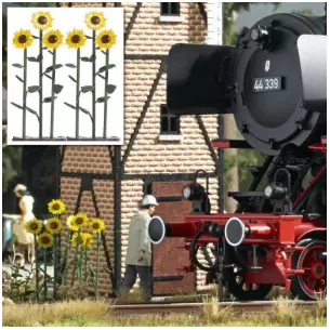 Sunflower O scale