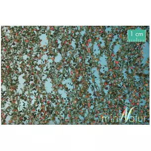 Apple tree leaves with apples, early autumn - 15 x 4 cm