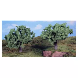 2 oliviers 11cm
