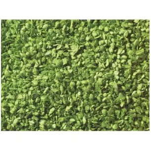 Light green foliage