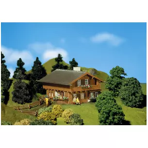 Maison Enzian