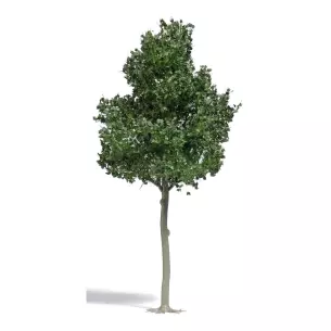 Arbre Érable français Busch 3799 - HO 1/87 - 170 mm
