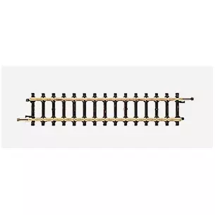 Rail droit 55mm