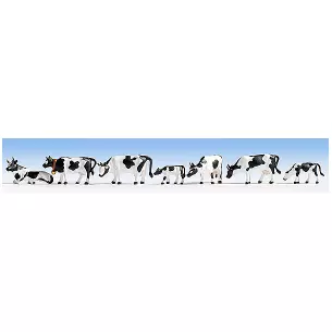White and black cows