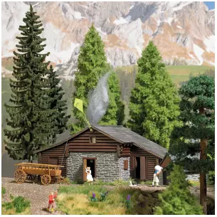 Chalet Alpin