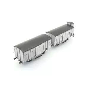Set of 2 OCEM 19 COVERED Wagons, spoked and solid wheels, closed flaps and MIDI gatehouse