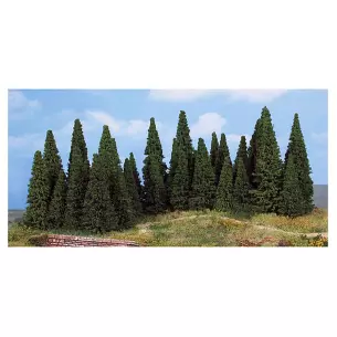 Batch of 35 fir trees 5-12cm