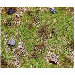 Segment de paysage PREMIUM, Prairie avec bloc erratique