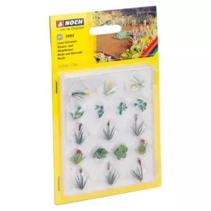 Plantes aquatiques et de berges