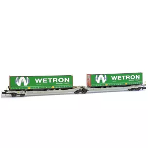 Wagon porte-bagages Sdggmrs T AAE Cargo HUPAC intermodal + 2 semi-remorques WETRON
