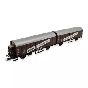 Set 2 wagons Leig Gllh 12 "Dresde" couverts en unité ROCO 76558 DB - HO 1/87