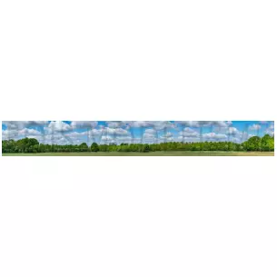 Fond de décor : Forêt sous un ciel bleu