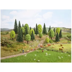 Forest of 10 trees from 3.5 to 9 cm high