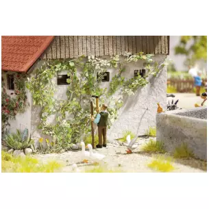 Une vigne sauvage / 12 plants NOCH 14132 - HO 1/87 -