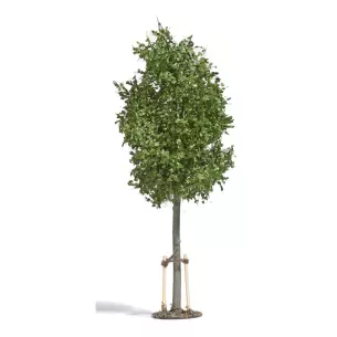 Jeune tilleul avec support - Busch 10627 - O 1/43