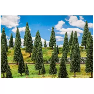 Lot de 10 sapins
