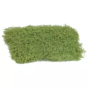 Arbuste de printemps Busch 3596 - HO - 120 x 80 x 35 mm