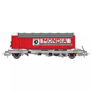 Kangaroo car with double axle trailer delivered MONDIA