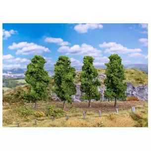 4 chênes colonnaires Faller 181577 - HO 1/87 - 90 à 110 mm