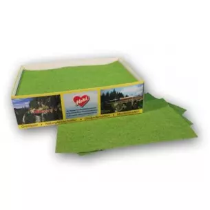 Tapis d'herbe de 34 x 24 cm