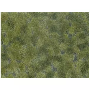 Feuille/tapis herbe 120 x 180 mm vert olive NOCH 07251 - HO 1/87 - Détaillé