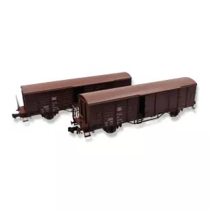 Set de 2 wagons couverts Gbsqss Fleischmann 826216 - N 1/160 - DB-AG - EP V