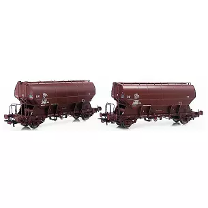 Set de 2 wagons trémies livrée brun type Tdgs