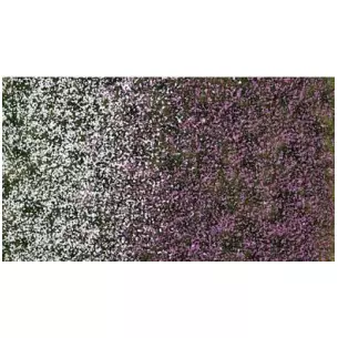 Flowering grass tufts, 4 mm fiber