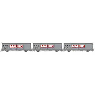 Set of 3 EVS boxcars delivered in grey with flat sides and "MAURO" logo