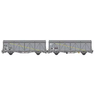 Set of 2 EVS boxcars delivered in gray with high roof and reinforced walls "MECAMODERN / KAOLIN