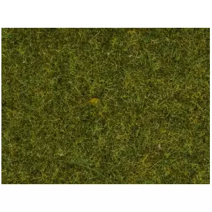 Sachet Herbe Herbe éparse "Prairie" 20g 4mm NOCH 08361 - O - N - Z - HO -