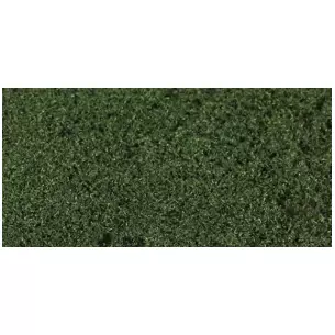 Foliage en feuille