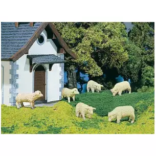 Lot of 6 sheep POLA 1875 - G 1 : 22.5