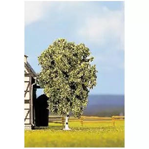 Bouleau  / 11.5 cm de haut