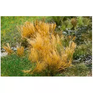 Reeds