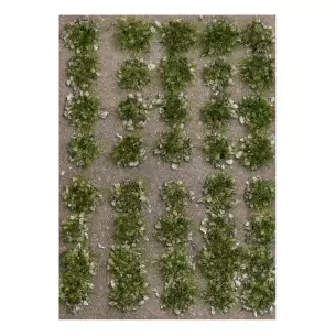 Kit de 40 Touffes d'herbe d'été Busch 3553 - HO 1/87