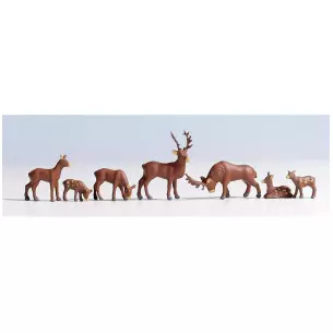 Deer, 7 animals
