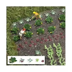 Légumes & laitues 