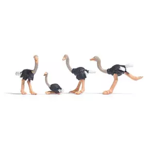 Set of 4 ostriches