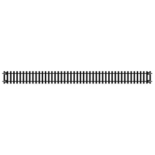 Double rail droit 335mm