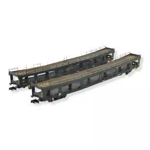 Set 2 wagons porte-auto DEV66 vert logo carmillon Arnold HN4348 N 1/160 - EP VI